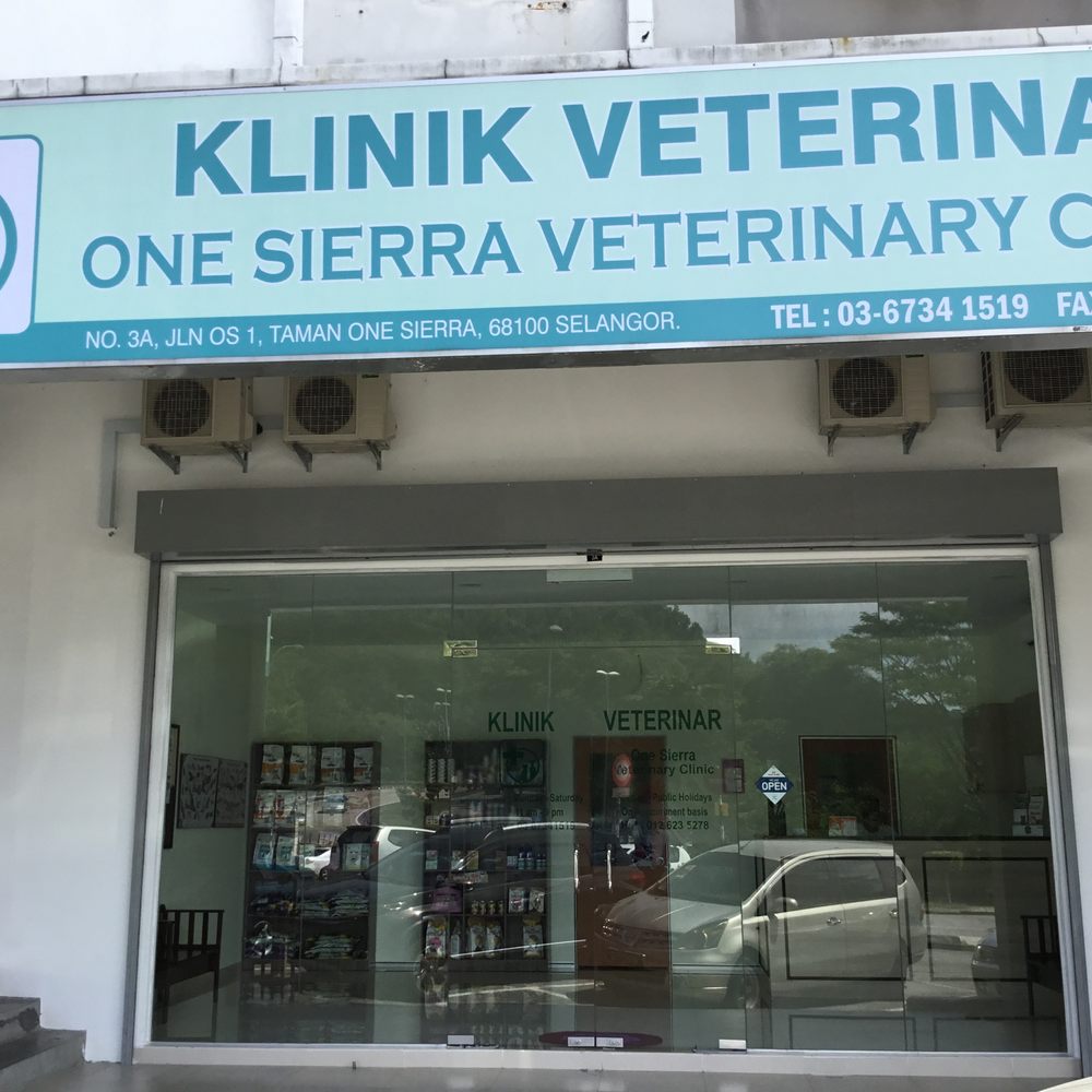 Klinik Vet Bidor – Rawatan Haiwan Profesional, Perkhidmatan Kecemasan & Pemeriksaan Kesihatan
