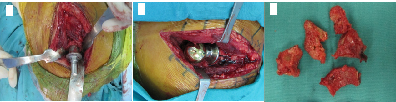 Klini FH & Surgery - Perkhidmatan Kesihatan Premium di Malaysia