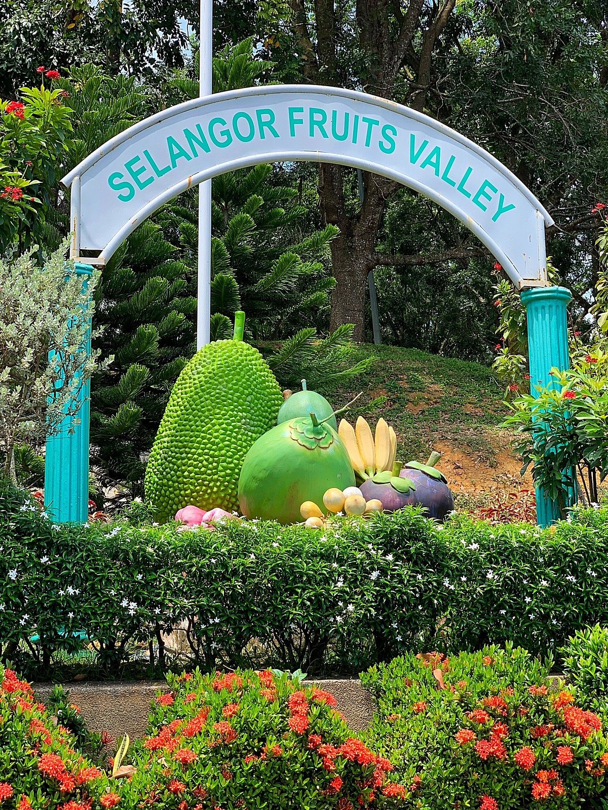 Keindahan Lembah Buah Selangor: Destinasi Buah Segar & Pemandangan Menakjubkan