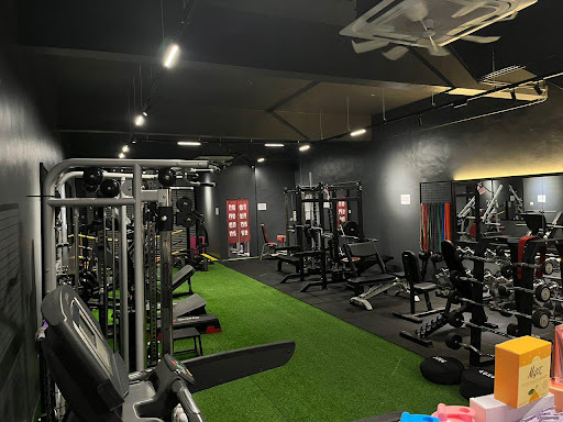 Musang Gym – Pusat Kecergasan Terbaik untuk Latihan Badan & Kesihatan di Malaysia